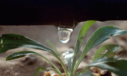 Modern sulamaya hibe desteği