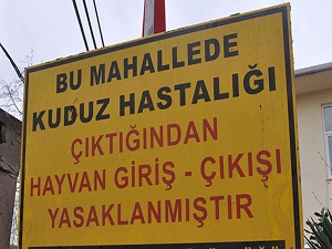 Kuduz şüphesi okulları tatil ettirdi