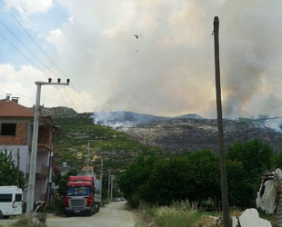 Burdur'da 12 hektar orman yandı