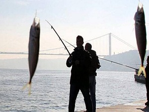 Olta balıkçıları göz çıkarıyor !