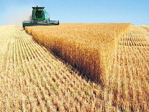 Bakan'dan müjde var