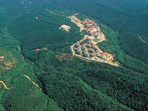 Dünyanın akciğerleri böyle yok oluyor