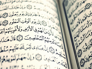 Sizin bütün şeref ve şanınız o kitapta