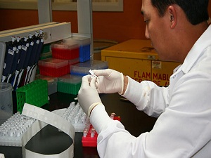 Dang humması salgını: 44 ölü