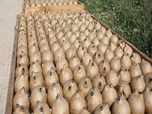 Ramazan için 30 bin ses bombası