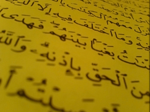 Hakkı batılın üzerine atarız da beynini parçalar