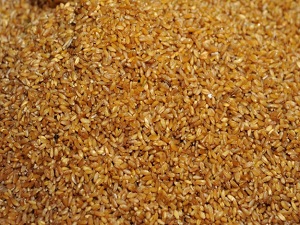 Türkiye'de GDO'lu tohum yok