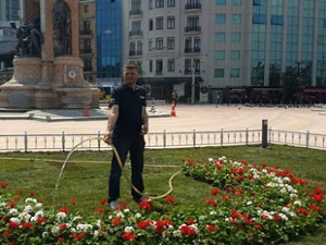 Taksim Meydanı'na yeni çiçekler ekiliyor