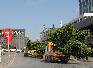 Taksim'de ağaçlandırma çalışmaları başladı