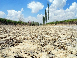 'Harplerden sonra en büyük göç çölleşmeden kaynaklanıyor