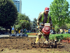 Gezi Parkı çiçek açtı