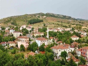 Vize hayran ediyor