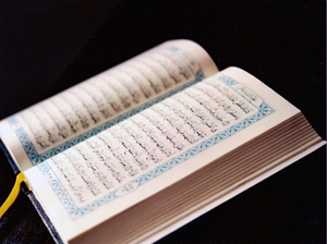 Her şeyi sudan meydana getirdiğimizi görmediler mi?