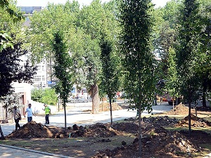 Gezi Parkı'na 100 yetişkin ağaç dikildi