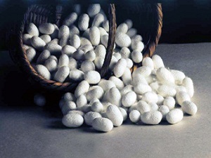 Hatay'da 54 kadın çiftçiden ipek böceği ürün sergisi