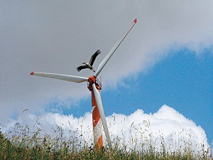 ‘Rüzgâr güllerinin kuşlara zararı yok’