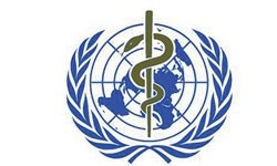 3 kadından biri şiddet görüyor