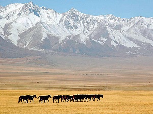 Tanrı dağları dünya mirası listesine girdi