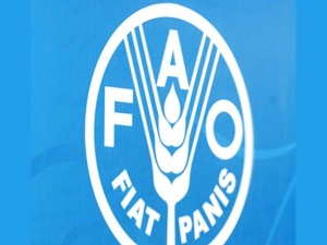 Türkiye FAO Konseyi üyeliğine seçildi