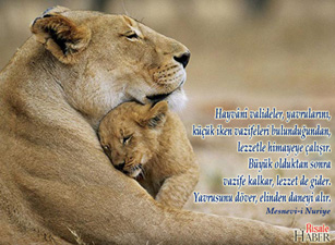 Risale-i Nur'dan vecizeli duvar kağıdı