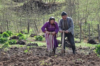 Kırsal nüfus yaşlanıyor