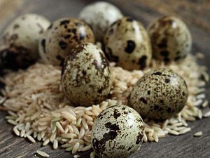 Bu yumurta her derde deva