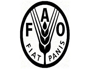 Türkiye FAO Konsey üyeliğine seçildi