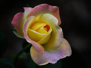 Allah, kulunun yiyip-içip böyle demesinden hoşnut olur