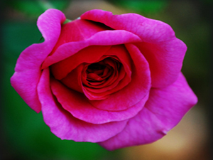 İsteyeni veya görev hırsı bulunanı yönetici yapmıyoruz