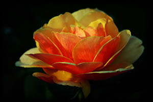 Güler yüzle bile olsa, hiçbir iyiliği küçümseme