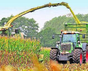 AB Tarım bakanları teşvik ve reformda uzlaştı