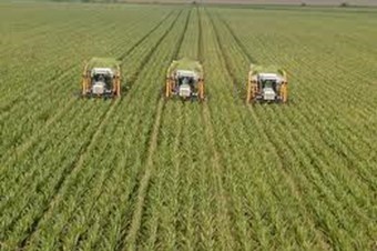 İhracatta tarım atağı