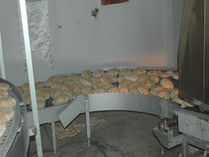 Suriye'ye her gün 60 bin ekmek gidiyor