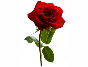 Allah'tan isteyip insanlara karşı tok gözlü davranınız