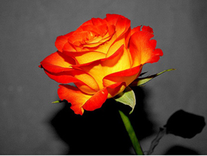 Gömlek giyerken Allah'a hamd eder, günahları affedilir