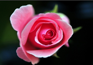 Dua gelmesi kesin olan kazayı def eder