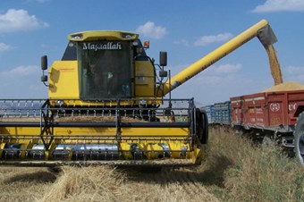 Hububatta bu yıl üreticinin yüzü gülüyor