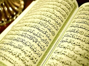 Ben sizi ancak vahiy ile uyarıyorum