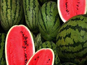 Karpuzdaki artış üreticinin yüzünü güldürdü