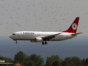 THY uçağına kuş çarptı