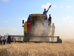 Bir milyona yakın hayvan ırkı ıslah edildi