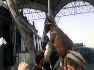 Eşeğini sırtında taşıdı