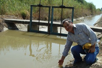 Menderes Nehri'nin kirliliği tarımı tehdit ediyor