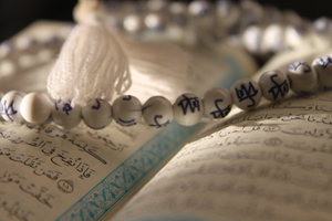 Onlar sadece bize ibadet eden kimselerdi