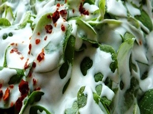 Semizotu omega 3 deposu