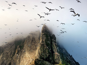 Allah'ı tespih etmeleri için dağları, kuşları onun emrine verdik