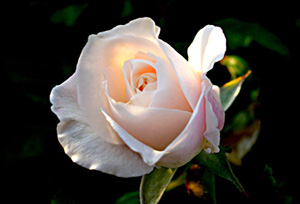 Oruçlunun rahatlayacağı iki sevinç anı vardır