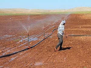 Güneydoğu'da toplulaştırma arazi fiyatlarını artıracak