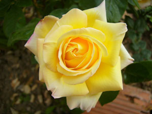 Ramazan ayına bu ismin verilmesinin sebebi