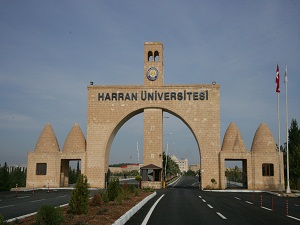 Harran Üniversitesi'nde hem okuyor hem para kazanıyorlar